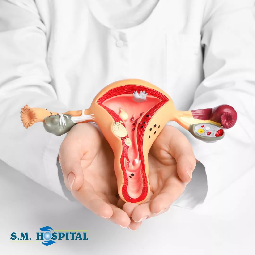 Gyneacology _ S_M_ Hospital